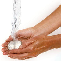 Norpro - Onion Holder/Odor Remover - 5141
