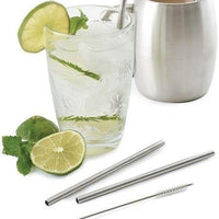 Norpro - Pack of 4 Stainless Steel Straws with 2 Brushes - 454