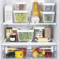 OXO - Greensaver Crisper Insert with 1 Filter - 11154100G