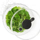 OXO - Little Salad & Herb Spinner - 1351680CL