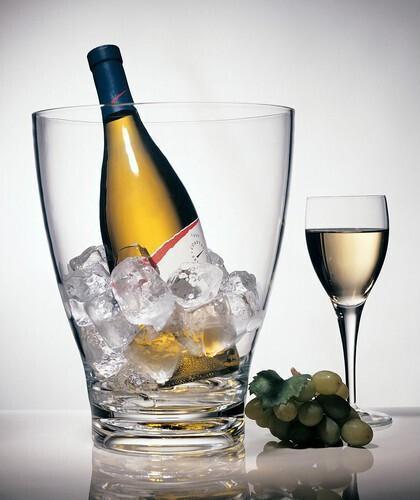 Prodyne - Tall Wine Bucket - 17507