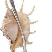 RSVP International - Endurance Monty’s Ladle - 585