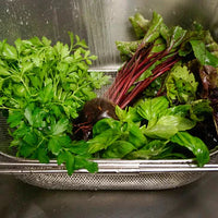 RSVP International - Endurance Precision Pierced Drainer- PPSNK