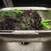 RSVP International - Endurance Precision Pierced Drainer- PPSNK