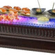 Rosseto - Gleam Waterproof Buffet & Food Display Light Box Set - LED100