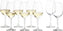 Schott Zwiesel - 13.6 oz, Pack of 8 Tritan Forte White Wine Glasses - 0007.120171
