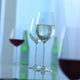 Schott Zwiesel - 13.7oz Fortissimo White Wine Glasses Set of 6 - 0024.112492