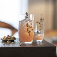 Schott Zwiesel - 15.4oz Fortune Long Drink Glasses, Pack of 6 - 0080.121597