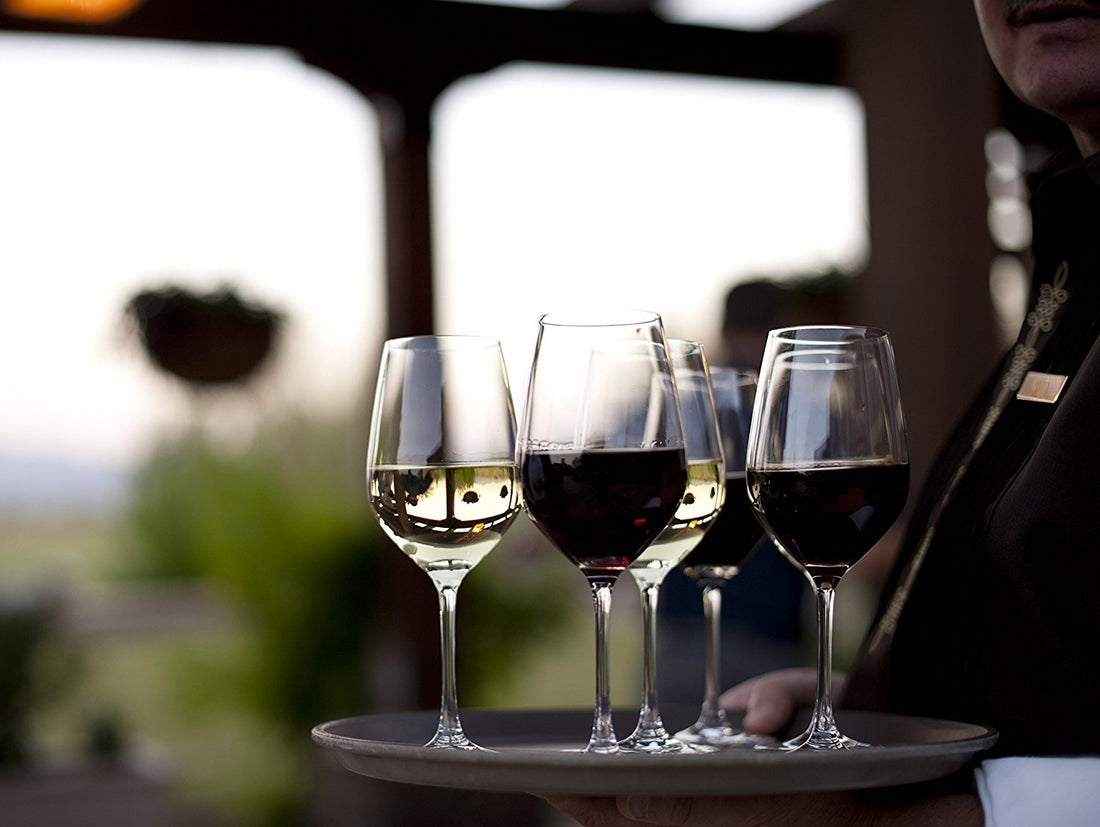 Schott Zwiesel - 17.3 oz, Pack of 8 Tritan Forte Red Wine Glasses - 0007.120172