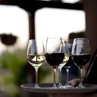 Schott Zwiesel - 17.3 oz, Pack of 8 Tritan Forte Red Wine Glasses - 0007.120172