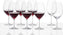 Schott Zwiesel - 17.3 oz, Pack of 8 Tritan Forte Red Wine Glasses - 0007.120172