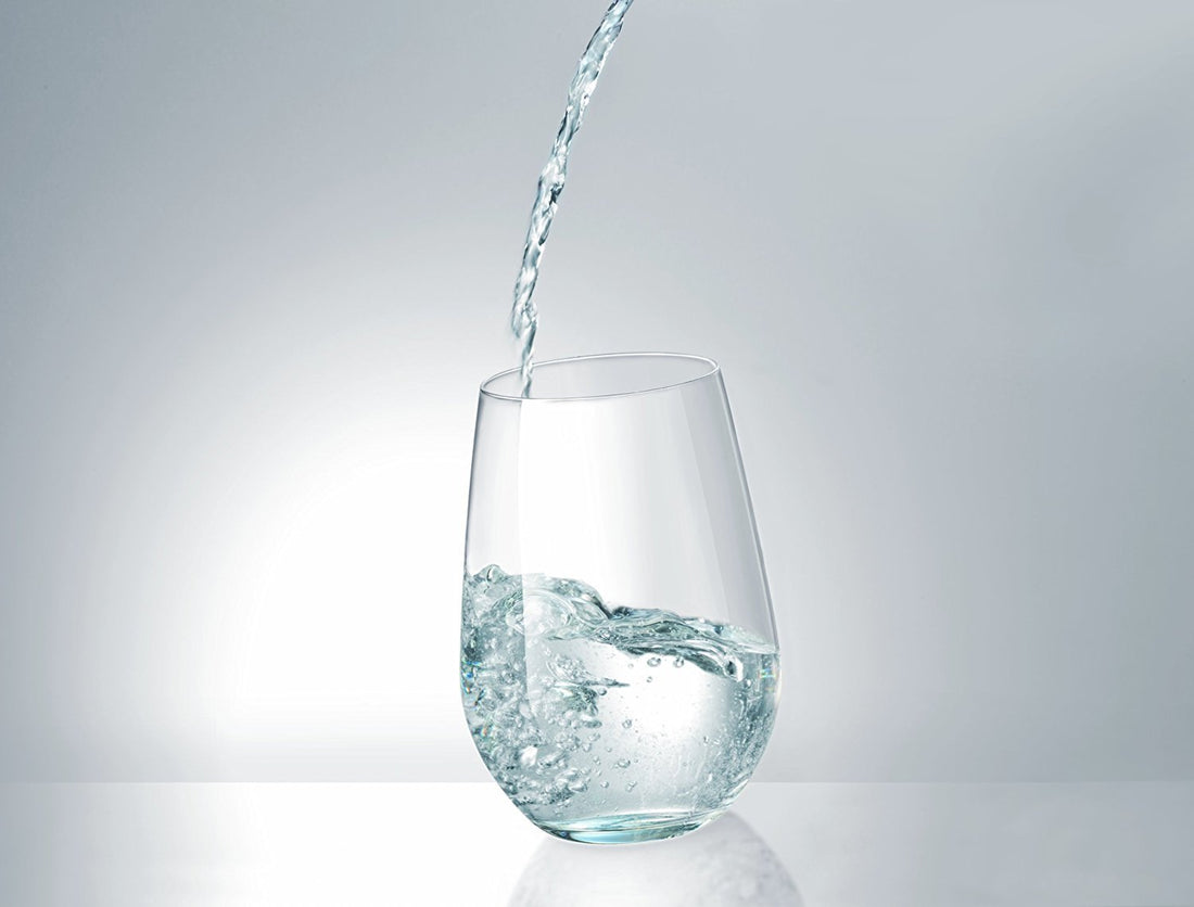 Schott Zwiesel - 6 PC 13.2 oz Tritan Forte Small All Purpose Glass - 0007.117879