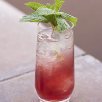 Schott Zwiesel - 6 PC 18.3 oz Tritan Pure Long Drink Cocktail Glass - 0026.112419