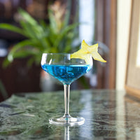 Schott Zwiesel - 6 PC 7.6 oz Tritan Basic Bar Contemporary Martini - 0029.115839