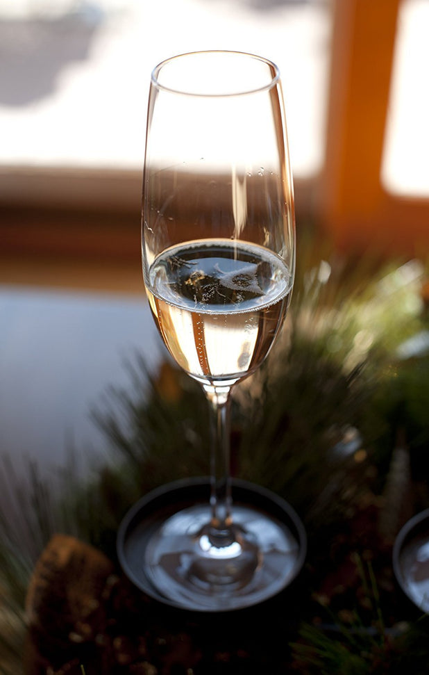 Schott Zwiesel - 6 PC 7.7 oz Tritan Forte Flute Champagne Glass - 0007.111989