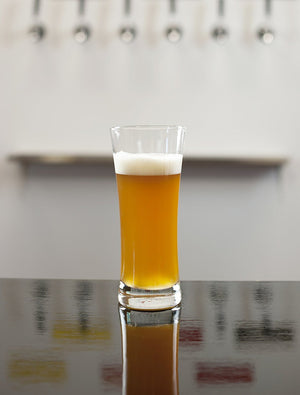 Schott Zwiesel - 6 PC 22 oz Tritan Basic Beer Medium Beer Glass - 0022.115271