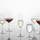 Schott Zwiesel - 7.3oz Banquet Champagne Flute Glasses Set of 6 - 0002.121594