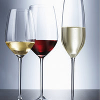 Schott Zwiesel - 8.1oz Fortissimo Champagne Flute Glasses, Pack of 6 - 0024.112494