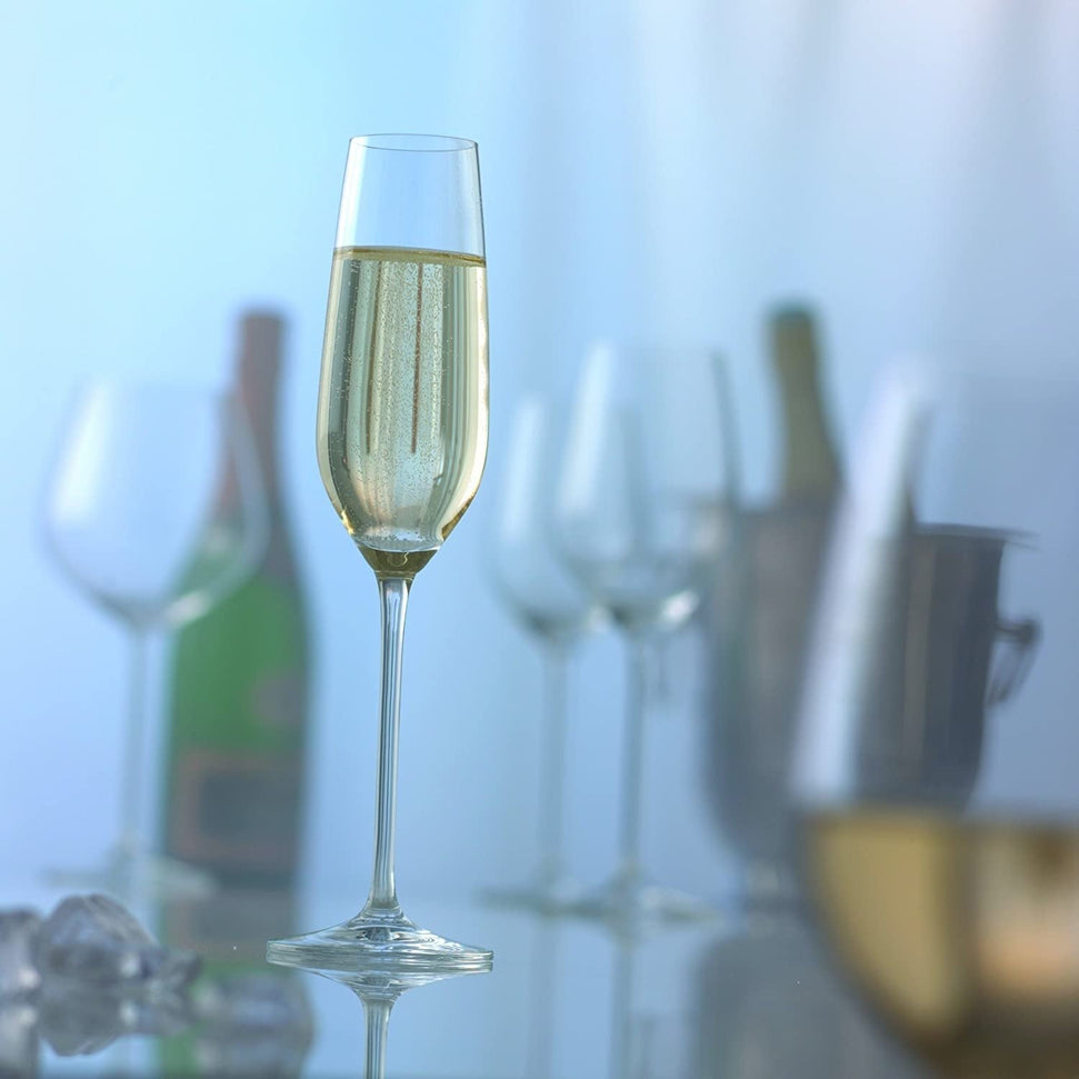 Schott Zwiesel - 8.1oz Fortissimo Champagne Flute Glasses, Pack of 6 - 0024.112494