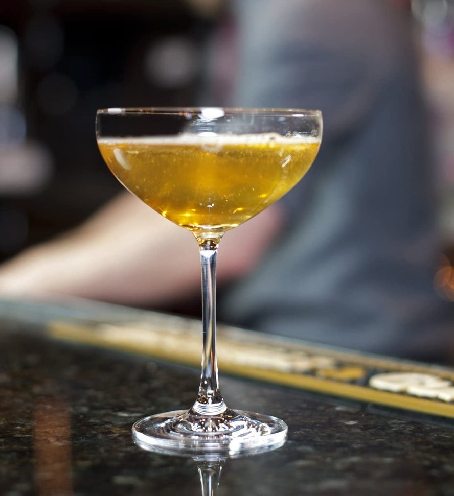 Schott Zwiesel - 9.5oz Bar Special Saucer Champagne Glasses, Pack of 6 - 0023.111219