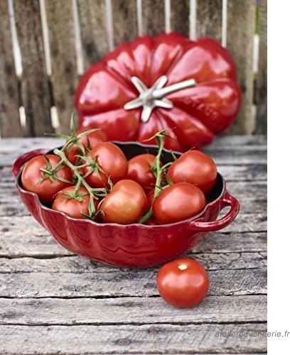 Staub - 3 QT Tomato Cocotte Cherry Red 2.9L - 40511-774