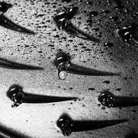 Staub - 4 QT Braiser with Chistera Lid Black 3.8L - 40511-472