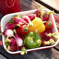 Staub - 7.5" x 6" Ceramic Rectangular Baking Dish Cherry Red - 40510-812