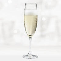 Trudeau - 8oz Serene Champagne Flutes, Pack of 6 - 4900854