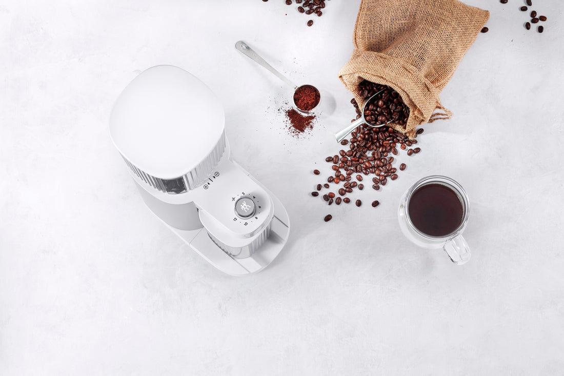 ZWILLING - Enfinigy Coffee Grinder Silver - 53104-700