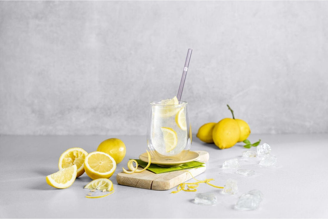 ZWILLING - Sorrento Straight Coloured Glass Straws - 39500-602