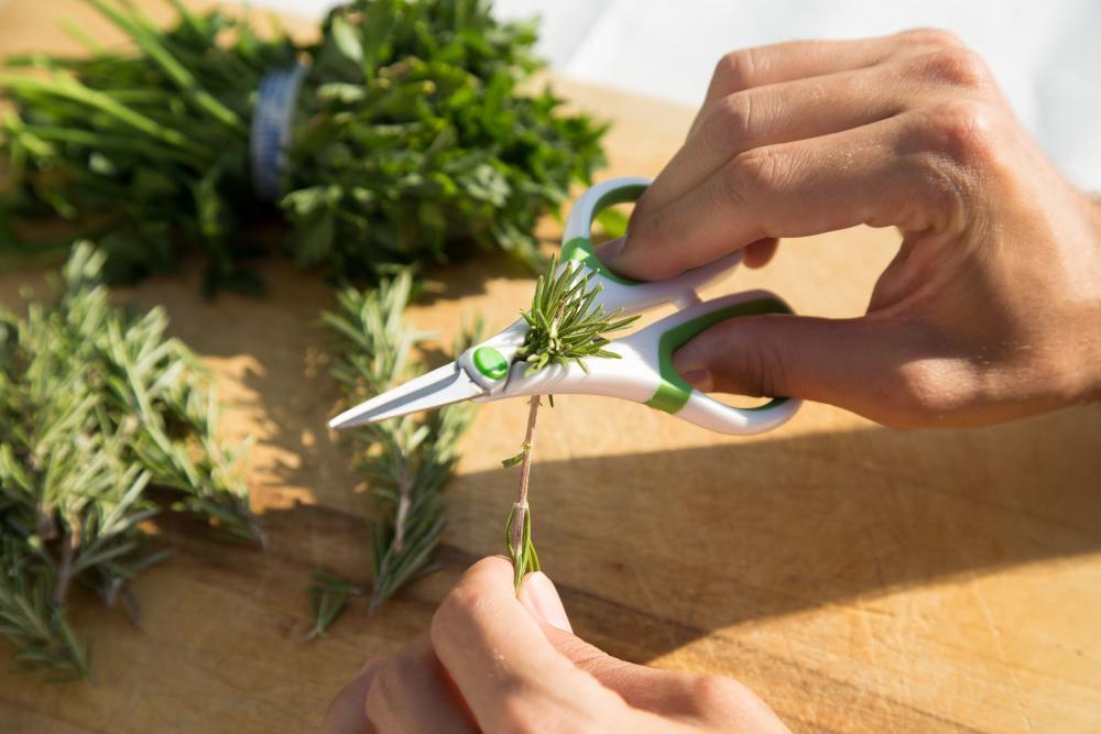Zyliss - Herb Shears - Z30100