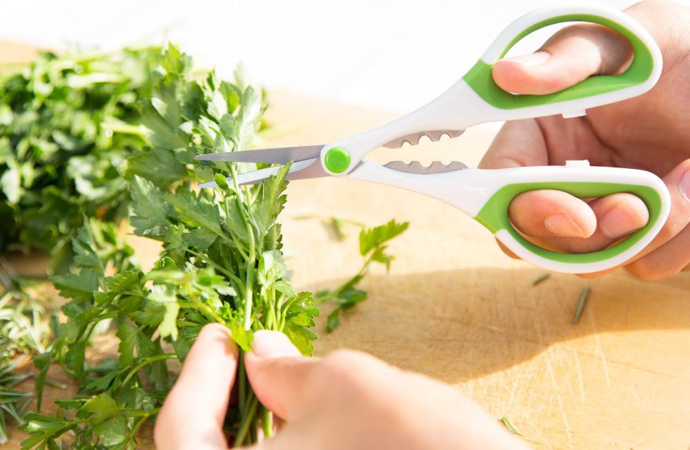 Zyliss - Herb Shears - Z30100